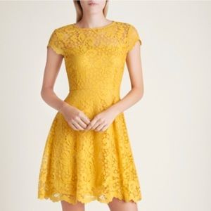 Kensie golden floral lace dress